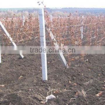 galvanized steel wire for vineyard trills (factory)