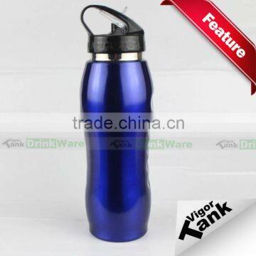 Stainless Steel Drinking Bottle with Straw