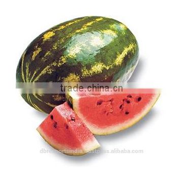 Watermelon Seed Oil Natural