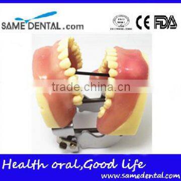 Dental Eduction Assistant No. DEA-03