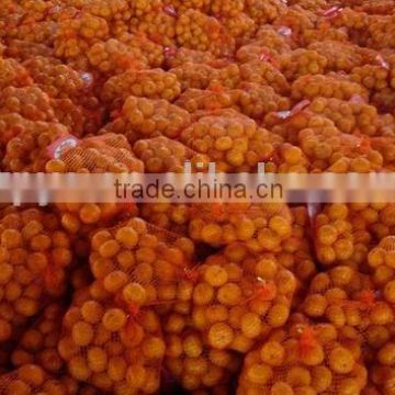 Nanfeng Baby Mandarin orange in 10 kg packing