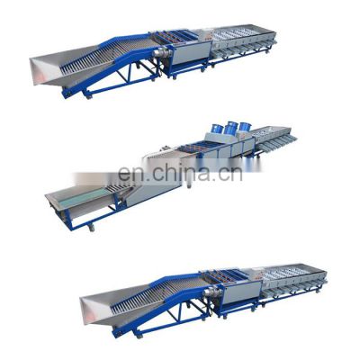 Production Line for cleaning and Air-drying Sorting of fruits and vegetables