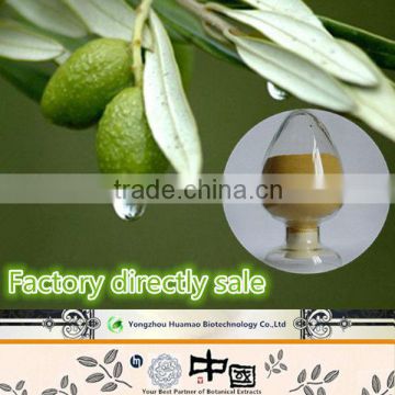 Olive Leaf P.E Hydroxytyrosol 10%-98%