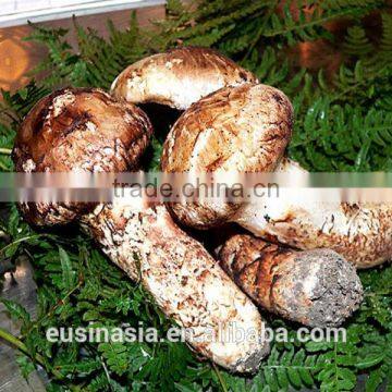 water boiled matsutake