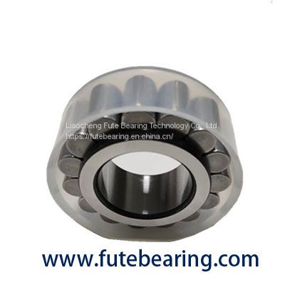 INA F-229070.RN bearing Hydraulic Pump Bearings