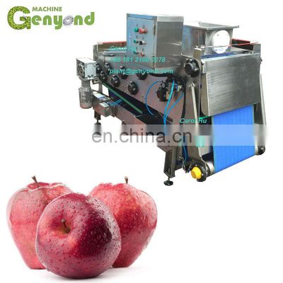 GYC-20 small belt press extractor for apple/pineapple
