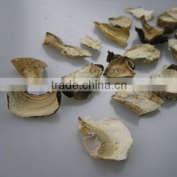boletus edulis price mushrooms for sale