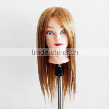 training mannequin head with indian hair