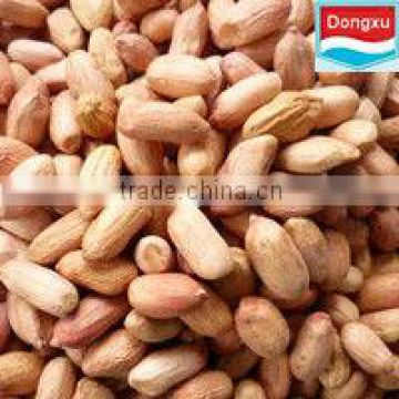 price of peanut seed long type