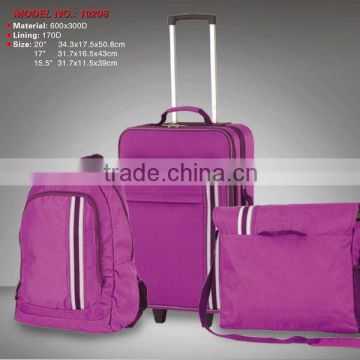 3PCS Trolley Luggage/3PCS Trolley Case