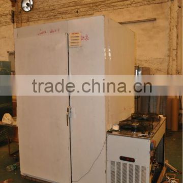 Stainless steel vertical blast freezer with single trolly