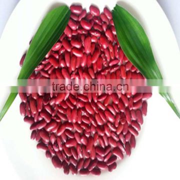 JSX from china small red bean long shape high quality dark red kidney bean