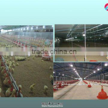 Automatical Galvanized steel structure layer chicken shed