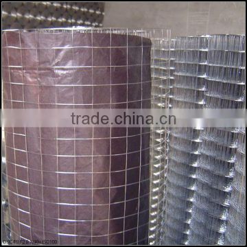 hot sale electro/hot dipped galvanized /wall insulation welded wire mesh rolls(10 years experience factory)