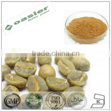 GMP hot sale green coffee bean extract 98%Chlorogenic acid
