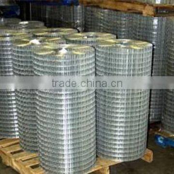 hot sell 1/4'' galvanized welded wire mesh(factory price)