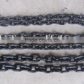 Good Quality Painted or Galvanized Transport Chain NACM96 G70