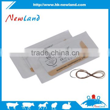 NL311 lowest Veterinary surgical chromic catgut suture price for sale
