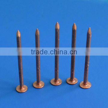 High quality Copper Square Nails for sale
