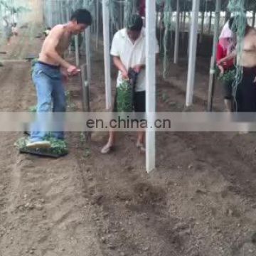 Small Hand Held Vegetable Seedling Transplanter Machine on Sale