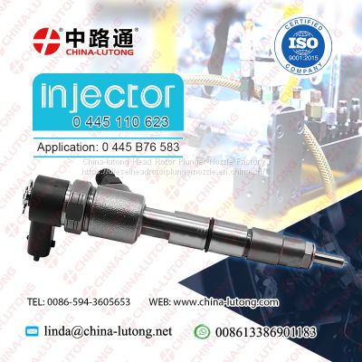 parts of a common rail injector 0 445 110 623 p pump common rail injectors