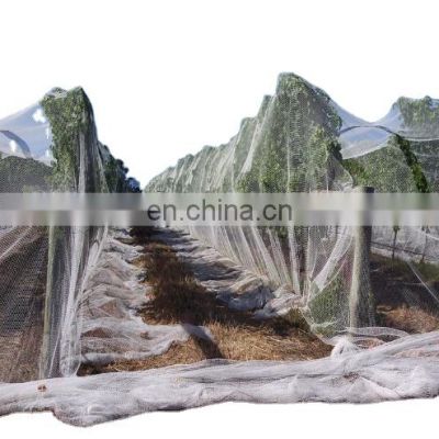 Agriculture Hot Selling HDPE plastic Mesh anti bee net Bee netting for grapes