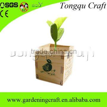 Factory Price sale customized unique souvenir gift for diy planting