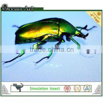 2014 new products palyground insects