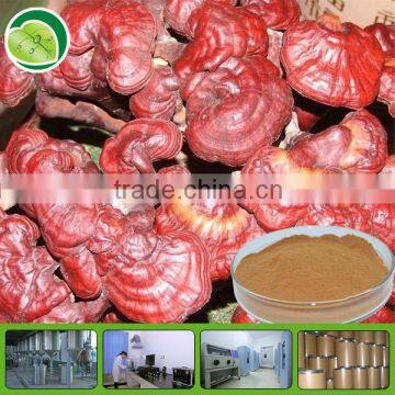 Hot sale reishi mushroom extract Polysaccharides powder