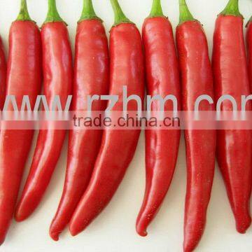 Dry Chilli