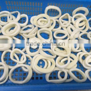IQF Pacific squid rings (Todarodes Pacificus)