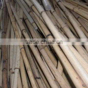 Raw White Malacca cane