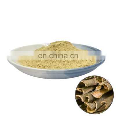 Factory Supply Natural White Willow Bark Extract 25% Salicin Powder