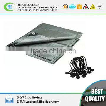 12 x 20 Foot Heavy Duty Gray/Silver Tarp with 15 Ball Bungees 12 Mil UV Protecting