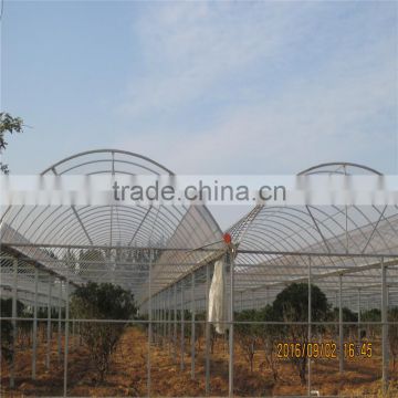 China Supplier Farm Fiberglass Greenhouse