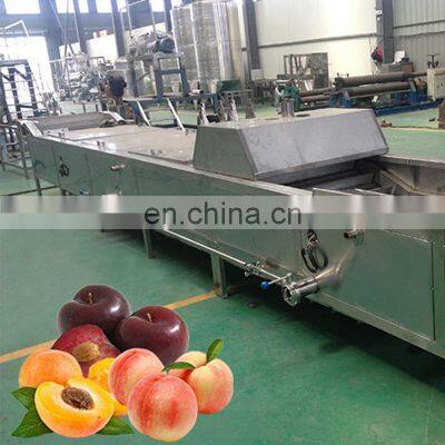 Industrial fruit vegetable puree jam making machine production line