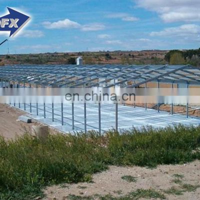 prefab poultry farm shed hen house for 5000 chickens