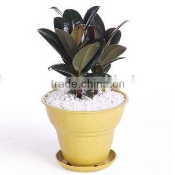 100% Biodergradable bamboo fiber flower pot