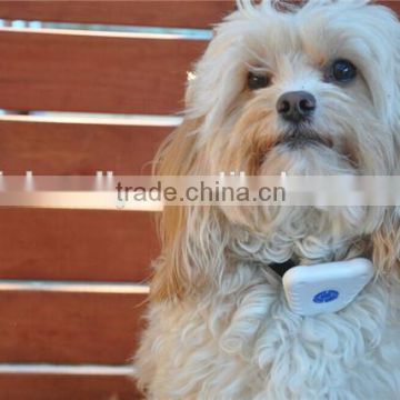 Ultrasonic dog training adjustable sensitivity collar bark contral