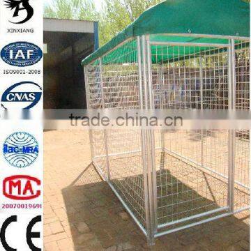 Hot sales Anping China Dog cage or dog kennel