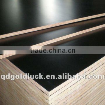 large size black film faced plywood 1220*2440mm for construction