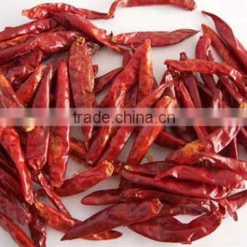 Red Chilli Without Stems