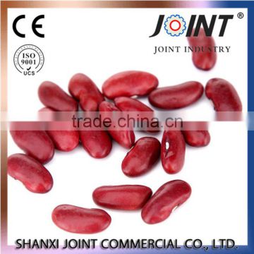 shanxi high Quality Red Kidney Beans