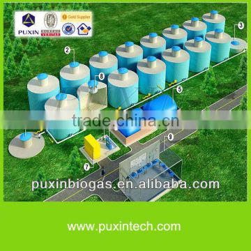100% success rate PUXIN big biogas plant for poultry manure treatment