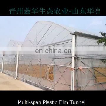 Standard Intelligent Film Multi-span Greenhouse With Outside Shading Net System
