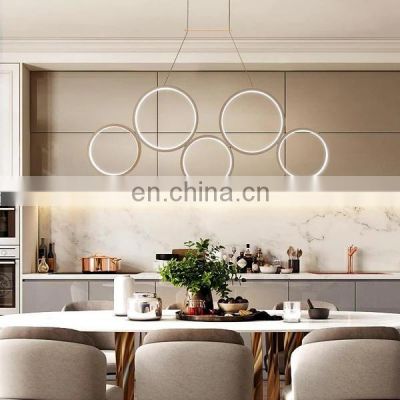 Modern Hanging Ring Lamp Decorative Chandelier Dimmable with Remote
