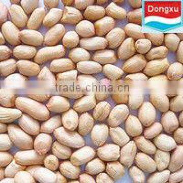 bulk raw organic peanuts