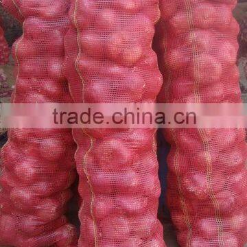 Jumbo Onion - Export Quality