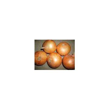 Yellow New Crop Fresh Onions Specification 5cm - 7cm , 7cm - 9cm