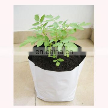Outdoor Agricultural Inexpensive Poly Recycling Grow Bag